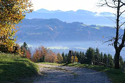 Rundblick am Abzweig nach Ahornach