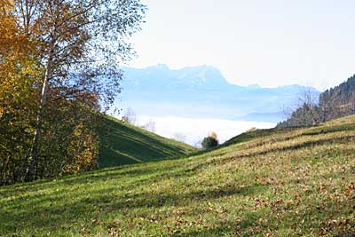 Rundblick am Abzweig nach Ahornach