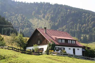 viele bewirtschaftete Alpen sind vorhanden