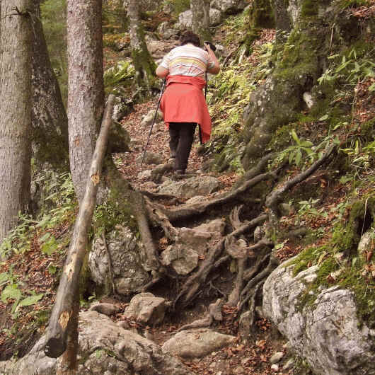 Diesmal ist der Nebenzufluß zum Reichenbach so arm an Wasser, dass man keine Schwierigkeiten hat, hinüber zu kommen. 