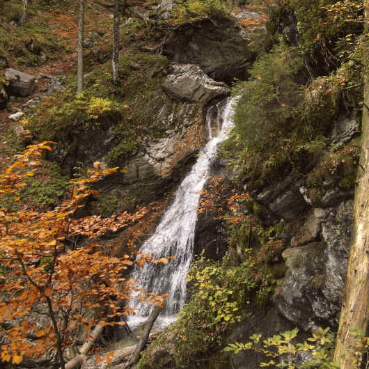 Nun führt der Steig durch einen mit großen Felsblöcken durchsetzten Wald. Auch hier gibt es viele, steile Stellen, die man nicht einfach durchwandern kann. Jeder Tritt muss überlegt gesetzt werden. 