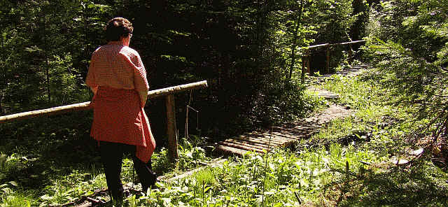 Interessant führt der Pfad über viele Stege durch den Wald