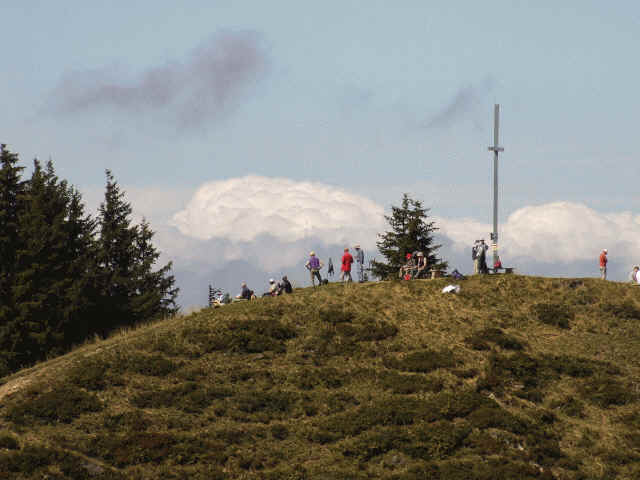 Der Gipfel des Wertacher Hörnle ist nur wenig höher, als die zwei davor den Hörnlesee umgebenden Hügel. Er ist ein typischer Aussichtsberg, ein Stützpunkt, um ein herrliches Panorama zu genießen. Nördlich liegt zu Füßen die Schnitzlertal-Alpe