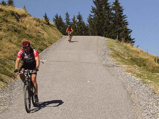 Mountainbiker auf Alpstrasse