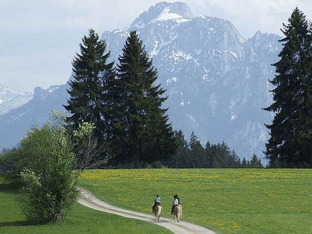 Wanderreiten im Ostallgäu vor der Bergkulisse