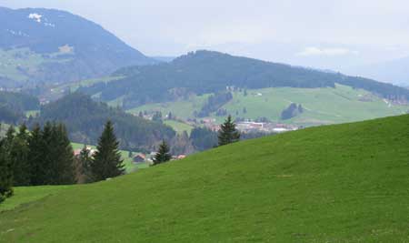 Blick nach Oberstaufen