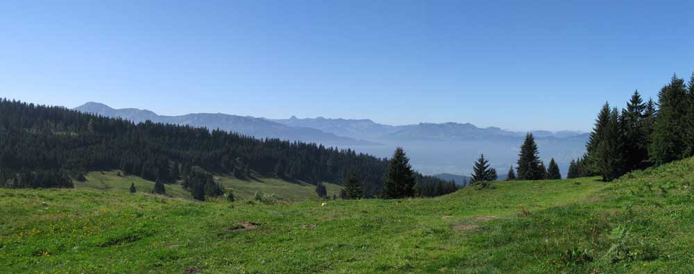 Blick Richtung Süd - West im Hintergrund die Schweizer Berge 