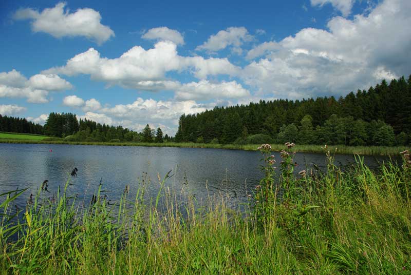 Kuhstallweiher