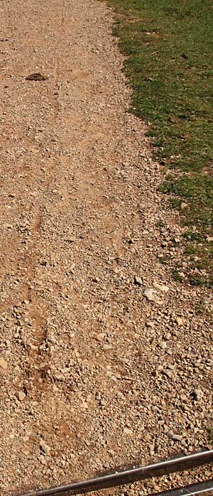 Ein viel zu steiler Weg für einen Rollator, vor allem, es konnten nur zwei räder gebremst werden