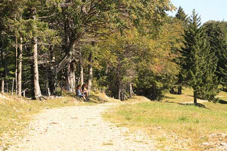 weiter oben ein fast waagerechter Spazierweg - kein Problem für einen Rollator