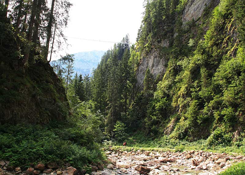 Höhenbachtal mit Hängebrücke