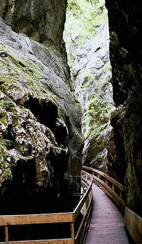 enge Alplochschlucht mit Holzsteg