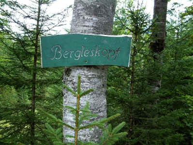 Bergleskopf